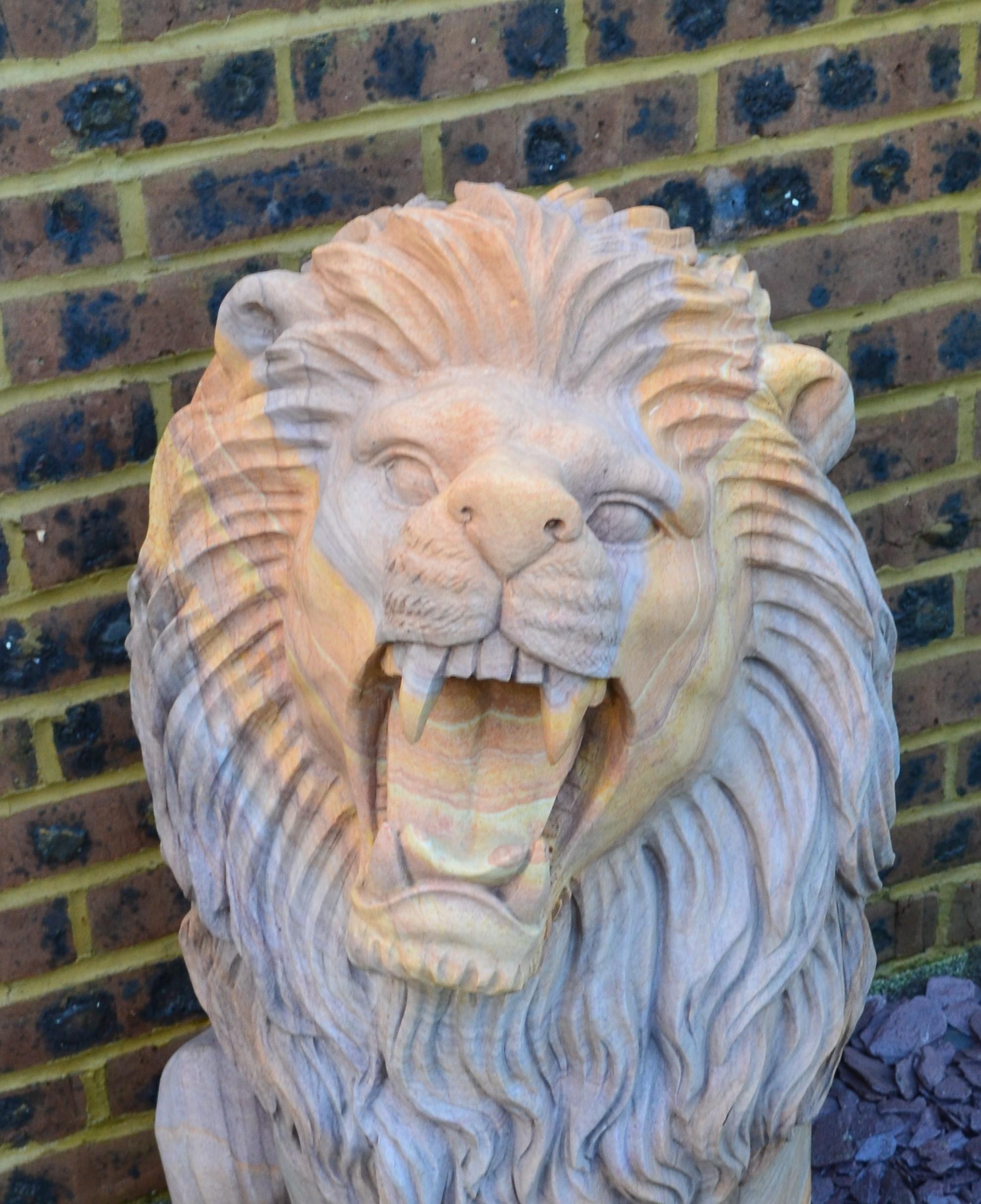The Lion